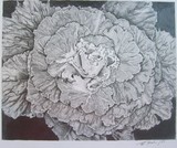 by beverley amah