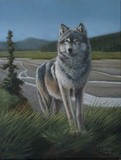 by Dan Mills
