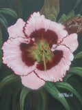 by Barbara Reid