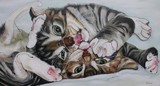 by Erlinde Ufkes Stephanus
