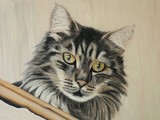 by Sue Clinker