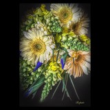 by Ropati Leaso-Cobb