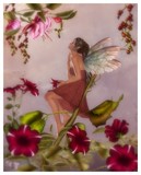 by Anne Dubois