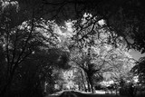 by kanwar singh