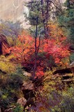 by Larry Hill
