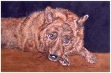by Penny Johnson