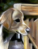 by linda lindall