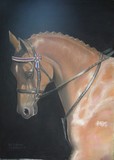 by Hazel Coates-Jobson