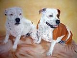 by Ann Gamble