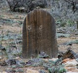 by Debra Kott