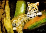 by David Scott