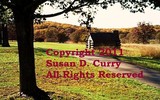 by Susan Curry