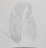 by Roxana Bowman-McKinnie
