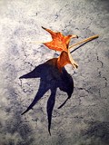 by Irina Sztukowski