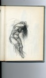 by Harry J.M. Vlamings