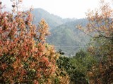 by Fahad Zafar
