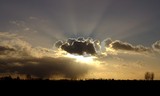 by Ad Schaap