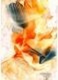 by Henriette ten Broek