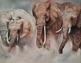 by Brooklyn Hill