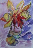 by Irina Stroup