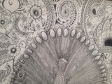 by Suki Kaur