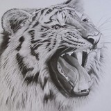 by Debi Ware