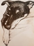 by Karlina Bacchus
