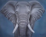 by Christine Cholowsky