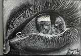 by Michael Cox