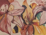by Caroline Zakaria