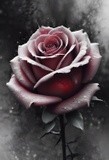 by Mihaela B