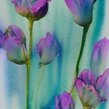 by Mihaela B