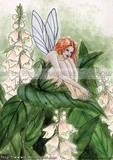 by Nedda Shishegar