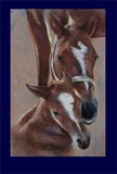 by Tonia Osborn