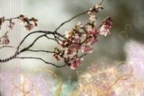 by Magnhild Sivertsen
