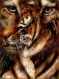by Michelle Rodger