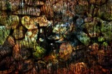 by Emilio B. Campo-Diaz