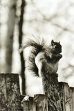 by Kimberly Tilley