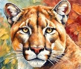 by Mark Peterson
