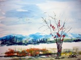 by Jim Perkins