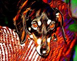 by Ginger Olansen