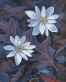 by Rhonda Watson