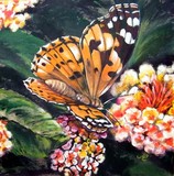 by Cristina Marsi