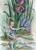 by Rhonda Shereck