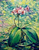 by Keren Gorzhaltsan
