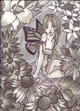 by Amy Nolan