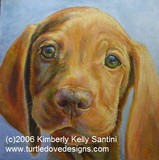 by Kimberly Santini