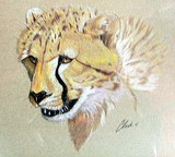 by Ken Clark