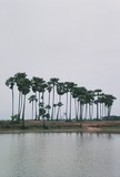 by amit mukherjee