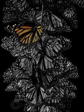 by Heather Ward